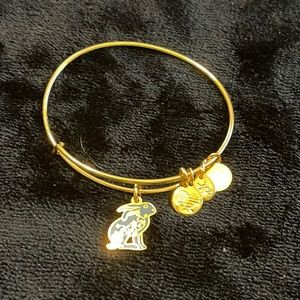 Alex and Ani Bracelet